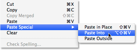 Selecting Paste Into from the Paste Special sub menu under the Edit menu.