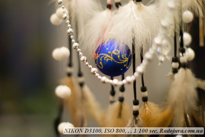 Никон д3100 обзор и качество фото
