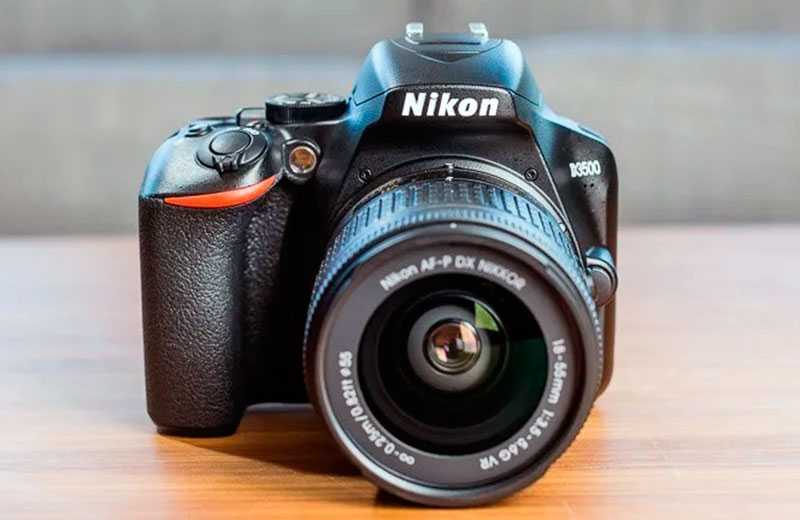 Обзор Nikon D3500: камера начинающих фотографов — Отзывы TehnObzor