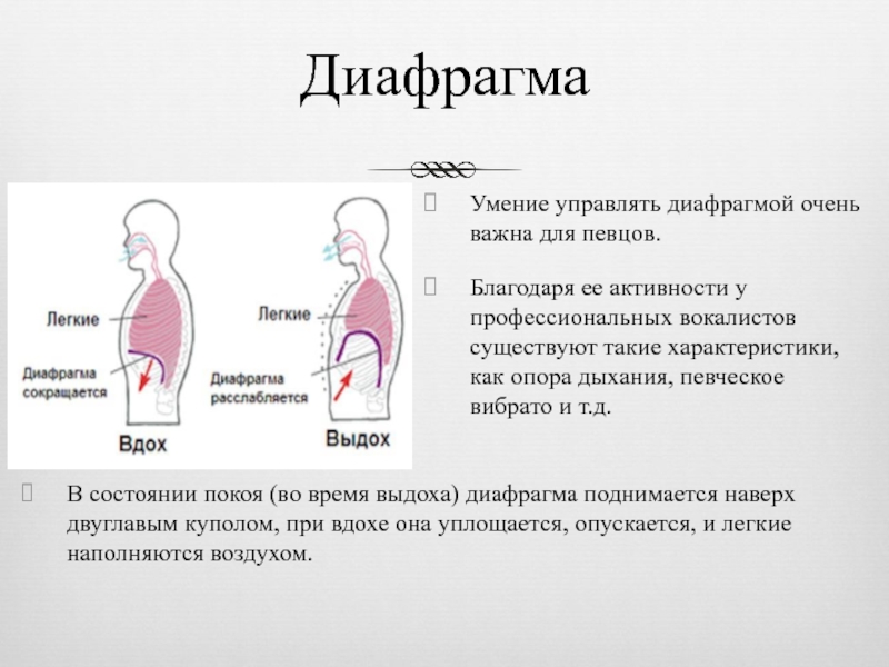 Размытие диафрагмы в фотошопе