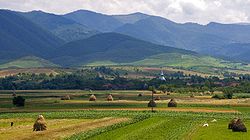      Transilvania     Banat, Crișana y Maramureș El territorio del histórico Voivodato