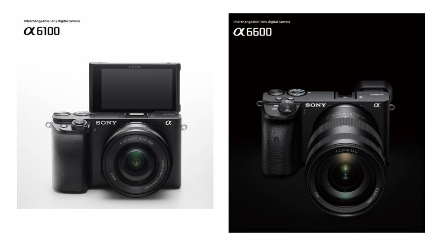 Full Features & Specs of Sony a6100 & a6600 Cameras