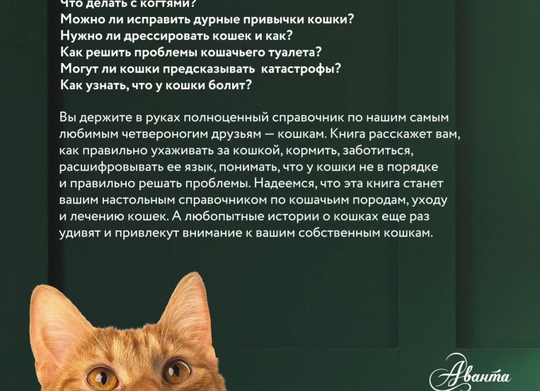 Как правильно ухаживать за фотоаппаратом: руководство для новичка