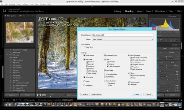 Как создать пресет в lightroom