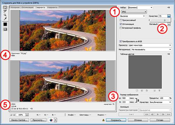 Как правильно сохранить фото в фотошопе для интернета без потери цвета