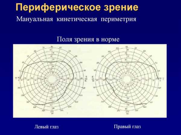 Какое изображение видит человек