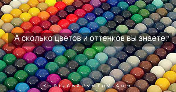 Сколько цветов можно максимально использовать для хранения изображения размером 350х200 пикселей 65